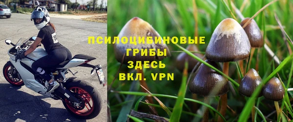 мяу мяу мука Карталы