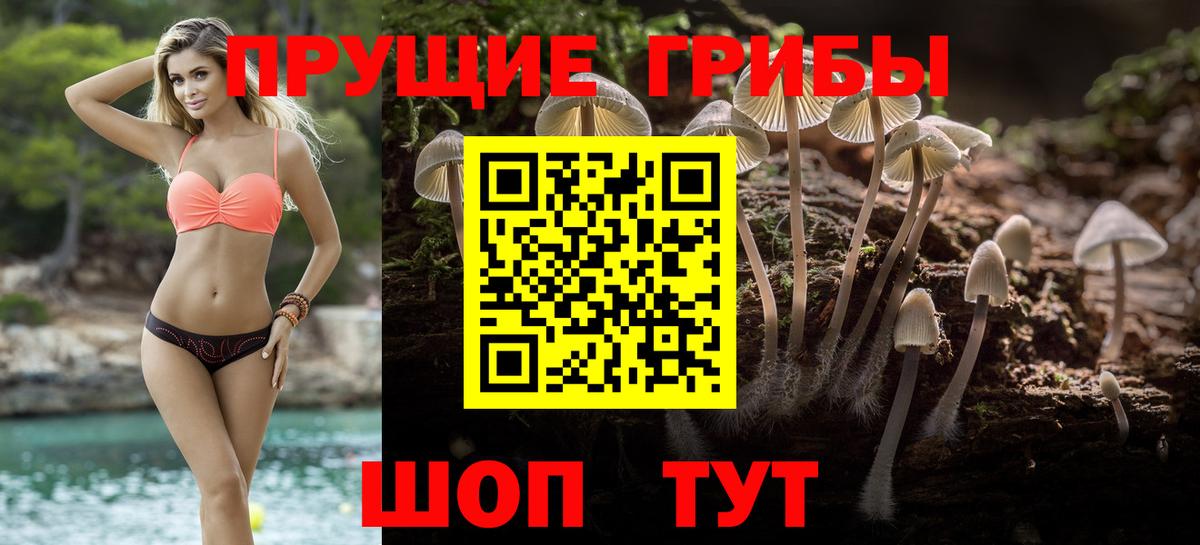 Псилоцибиновые грибы мицелий Кулебаки